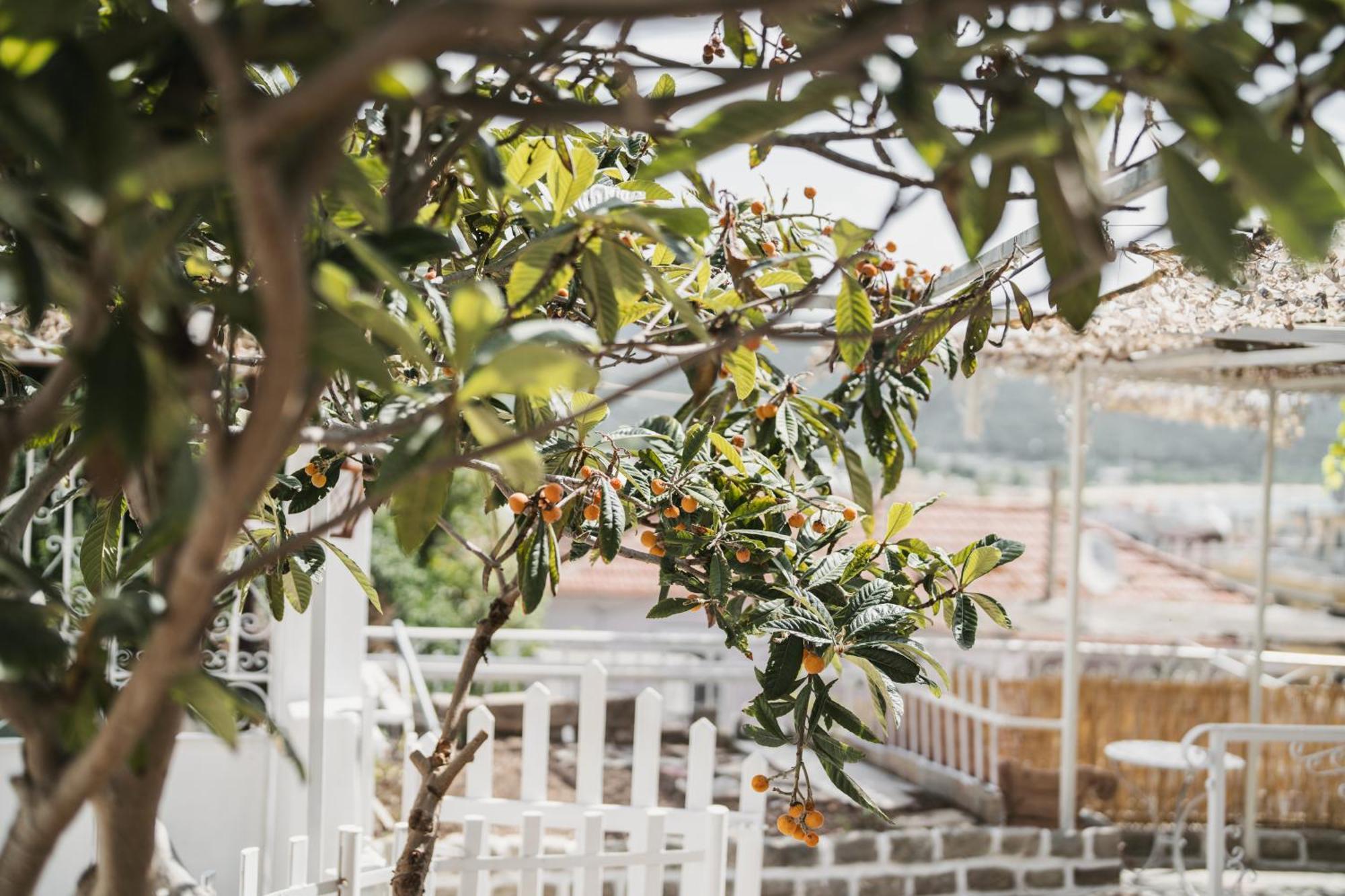 The Garden House Appartement Kavala Buitenkant foto